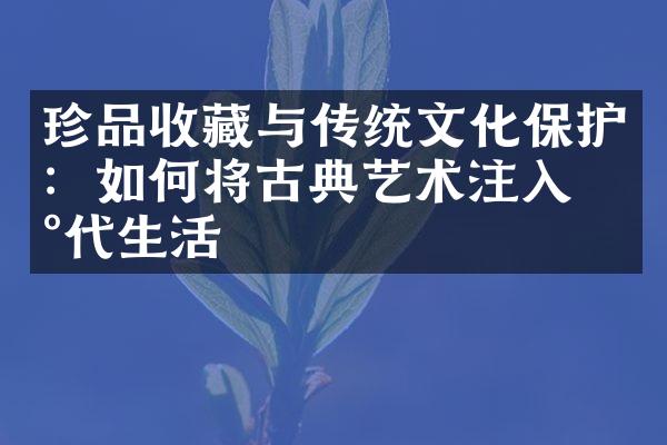 珍品收藏与传统文化保护：如何将古典艺术注入现代生活