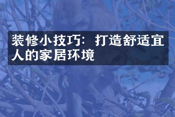 装修小技巧：打造舒适宜人的家居环境