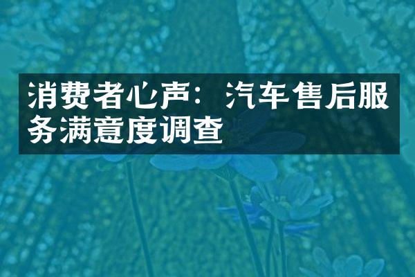 消费者心声：汽车售后服务满意度调查