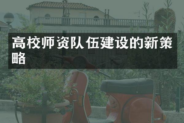 高校师资队伍建设的新策略