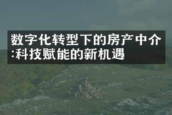 数字化转型下的房产中介:科技赋能的新机遇