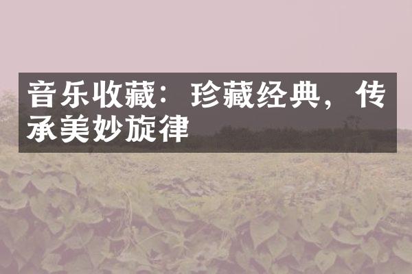 音乐收藏：珍藏经典，传承美妙旋律