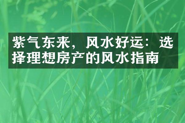 紫气东来，风水好运：选择理想房产的风水指南