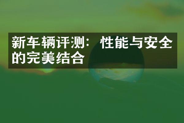 新车辆评测：性能与安全的完美结合