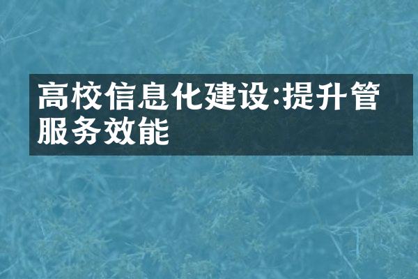 高校信息化建设:提升管理服务效能