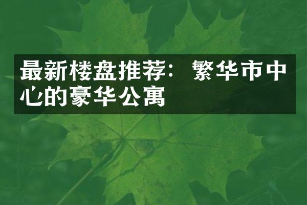 最新楼盘推荐：繁华市中心的豪华公寓