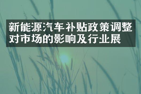 新能源汽车补贴政策调整对市场的影响及行业展望