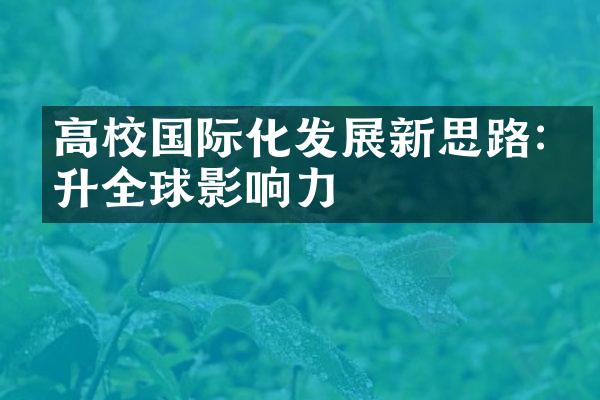 高校国际化发展新思路:提升全球影响力