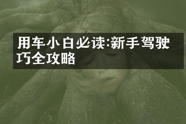 用车小白必读:新手驾驶技巧全攻略