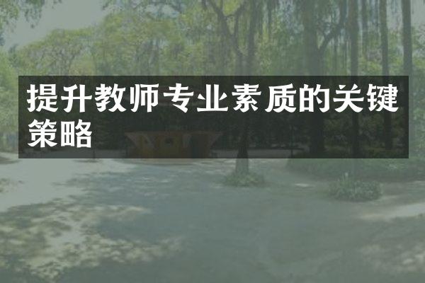 提升教师专业素质的关键策略