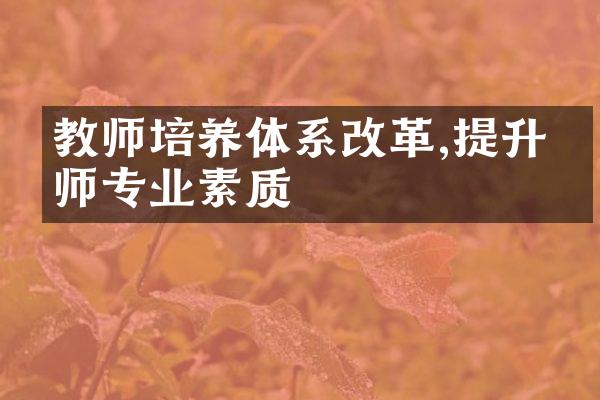 教师培养体系改革,提升教师专业素质