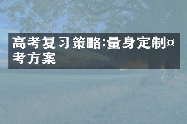 高考复习策略:量身定制备考方案