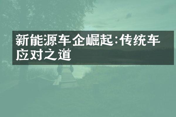 新能源车企崛起:传统车企应对之道