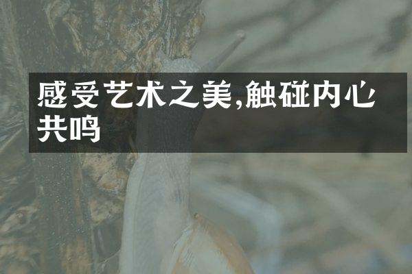 感受艺术之美,触碰内心的共鸣