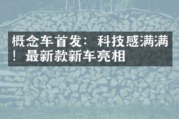 概念车首发：科技感满满！最新款新车亮相