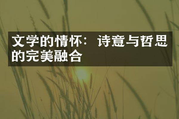 文学的情怀：诗意与哲思的完美融合