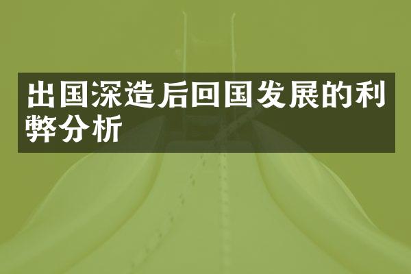 出国深造后回国发展的利弊分析