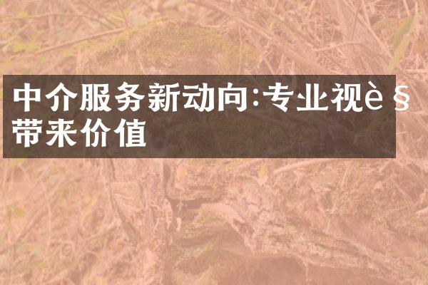 中介服务新动向:专业视角带来价值