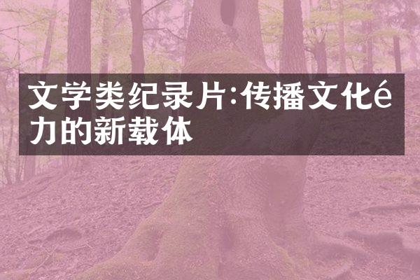 文学类纪录片:传播文化魅力的新载体