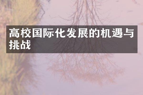 高校国际化发展的机遇与挑战