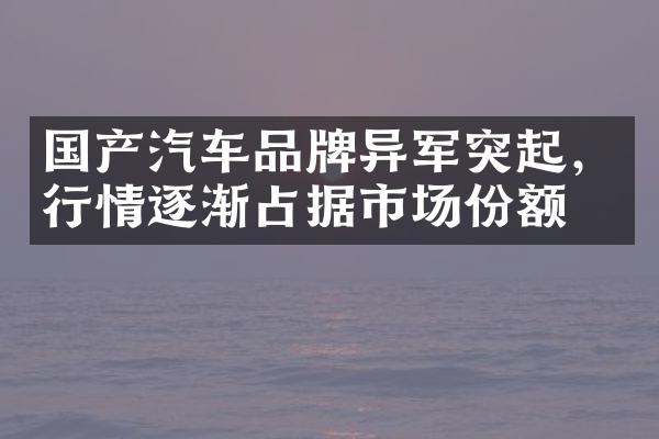 国产汽车品牌异军突起，行情逐渐占据市场份额