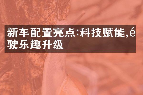 新车配置亮点:科技赋能,驾驶乐趣升级