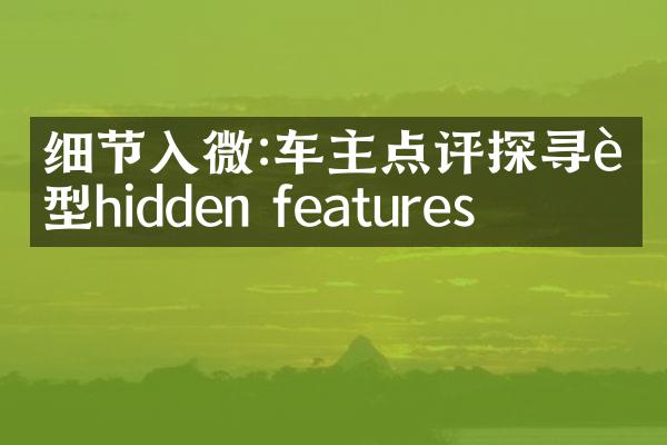 细节入微:车主点评探寻车型hidden features