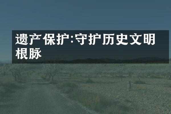 遗产保护:守护历史文明的根脉