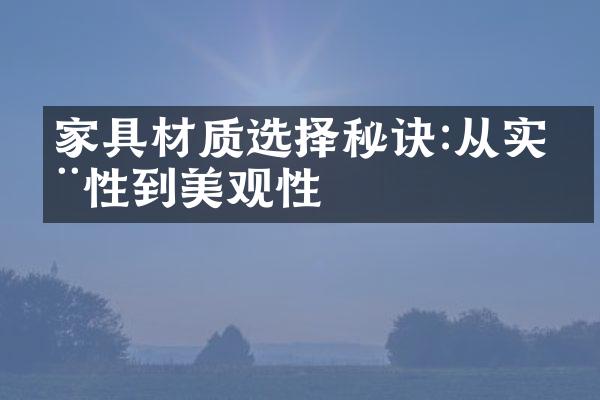 家具材质选择秘诀:从实用性到美观性