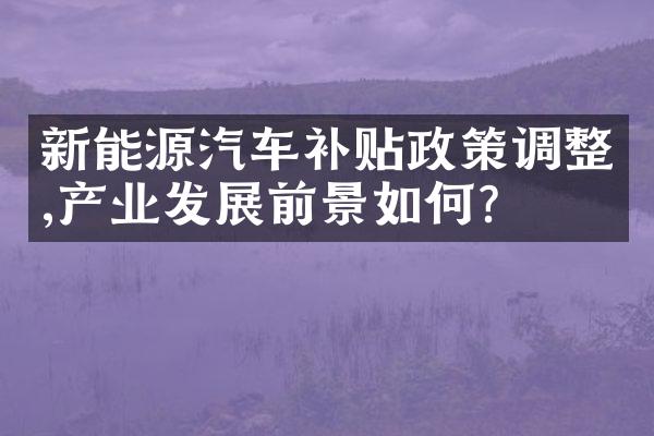 新能源汽车补贴政策调整,产业发展前景如何?