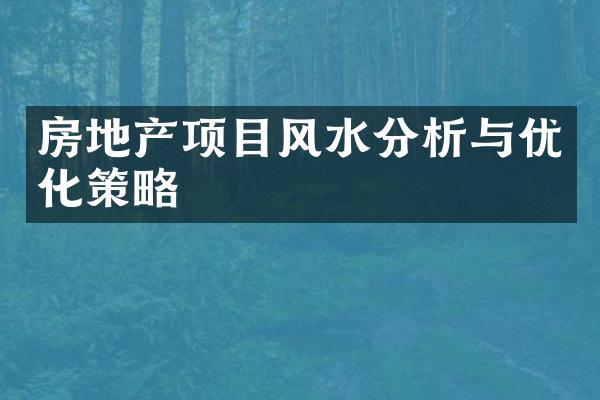 房地产项目风水分析与优化策略