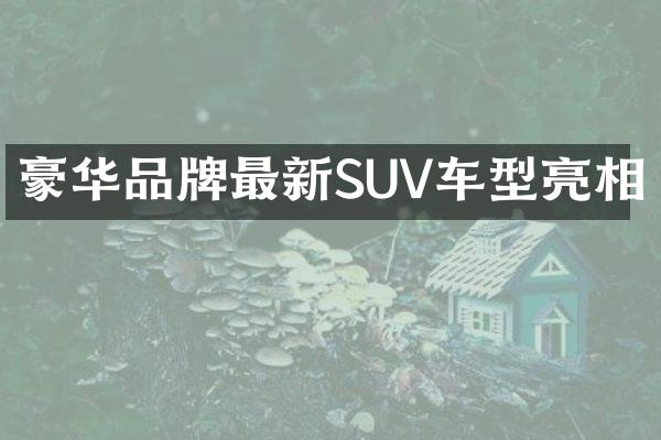 豪华品牌最新SUV车型亮相