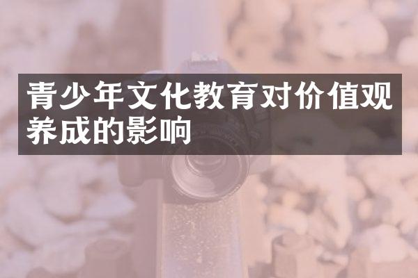 青少年文化教育对价值观养成的影响