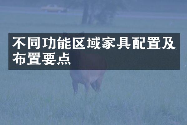 不同功能区域家具配置及布置要点