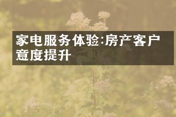 家电服务体验:房产客户满意度提升