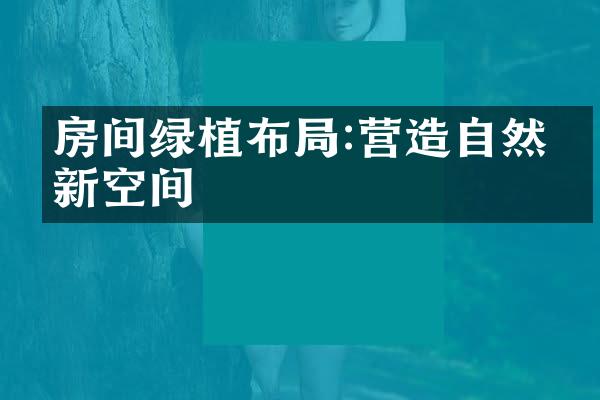 房间绿植布局:营造自然清新空间