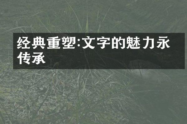 经典重塑:文字的魅力永续传承