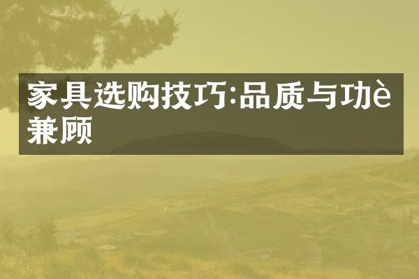 家具选购技巧:品质与功能兼顾