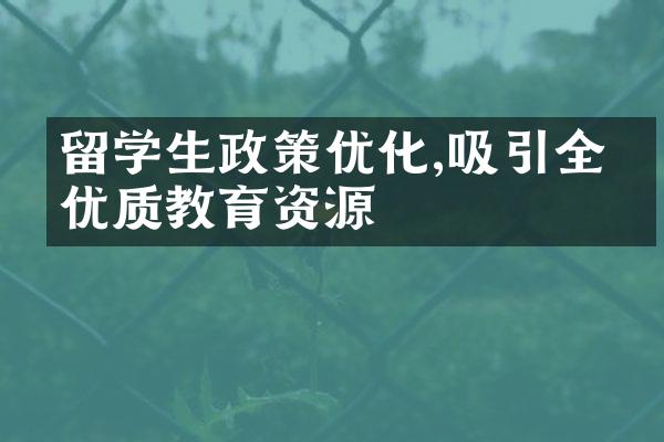 留学生政策优化,吸引全球优质教育资源