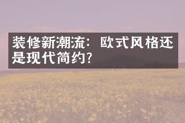 装修新潮流：欧式风格还是现代简约？