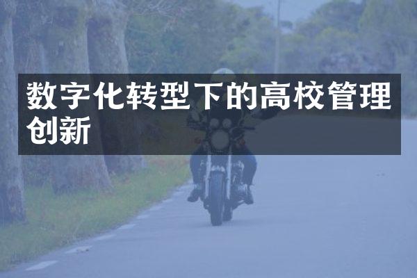 数字化转型下的高校管理创新