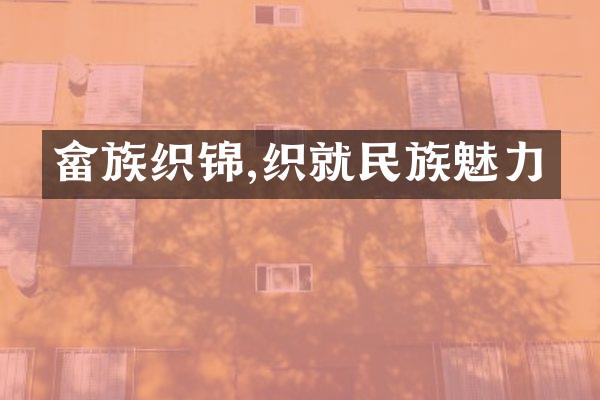 畲族织锦,织就魅力