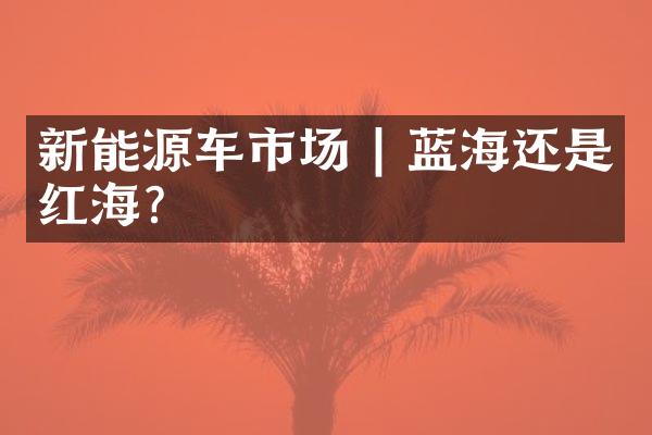 新能源车市场 | 蓝海还是红海?