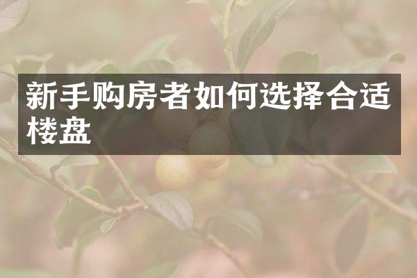 新手购房者如何选择合适楼盘