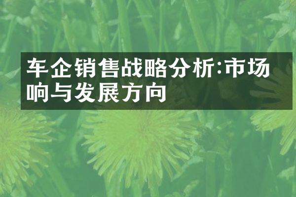 车企销售分析:市场反响与发展方向