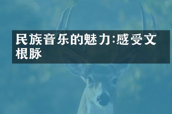 音乐的魅力:感受文化根脉