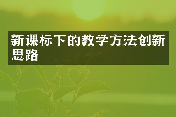 新课标下的教学方法创新思路