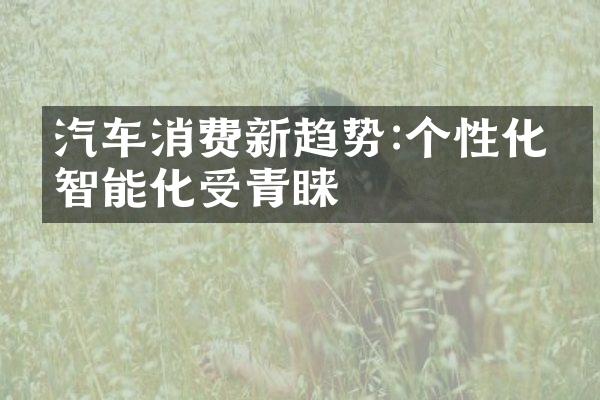 汽车消费新趋势:个性化、智能化受青睐