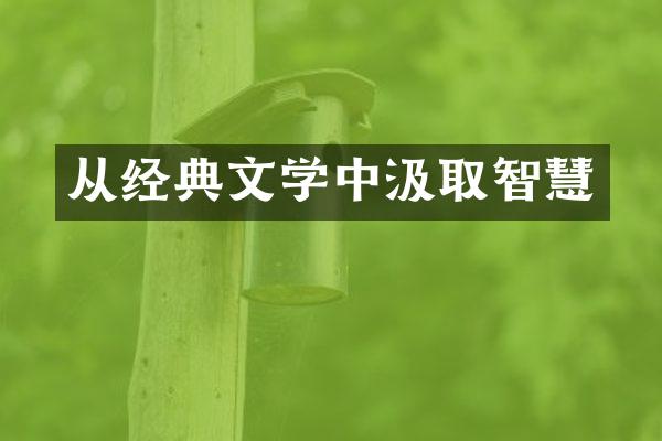 从经典文学中汲取智慧