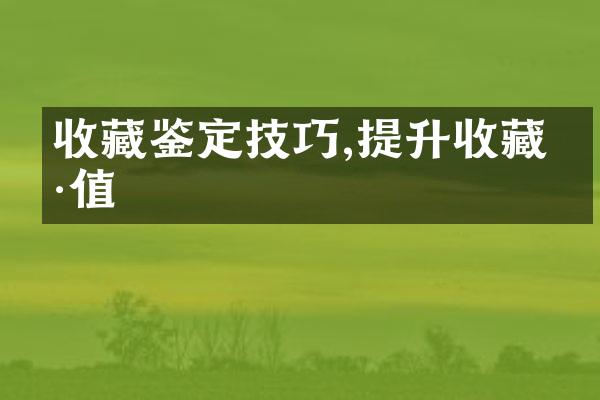 收藏鉴定技巧,提升收藏价值